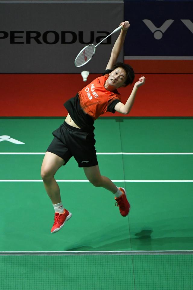 他的辛德拉 他的辛德拉