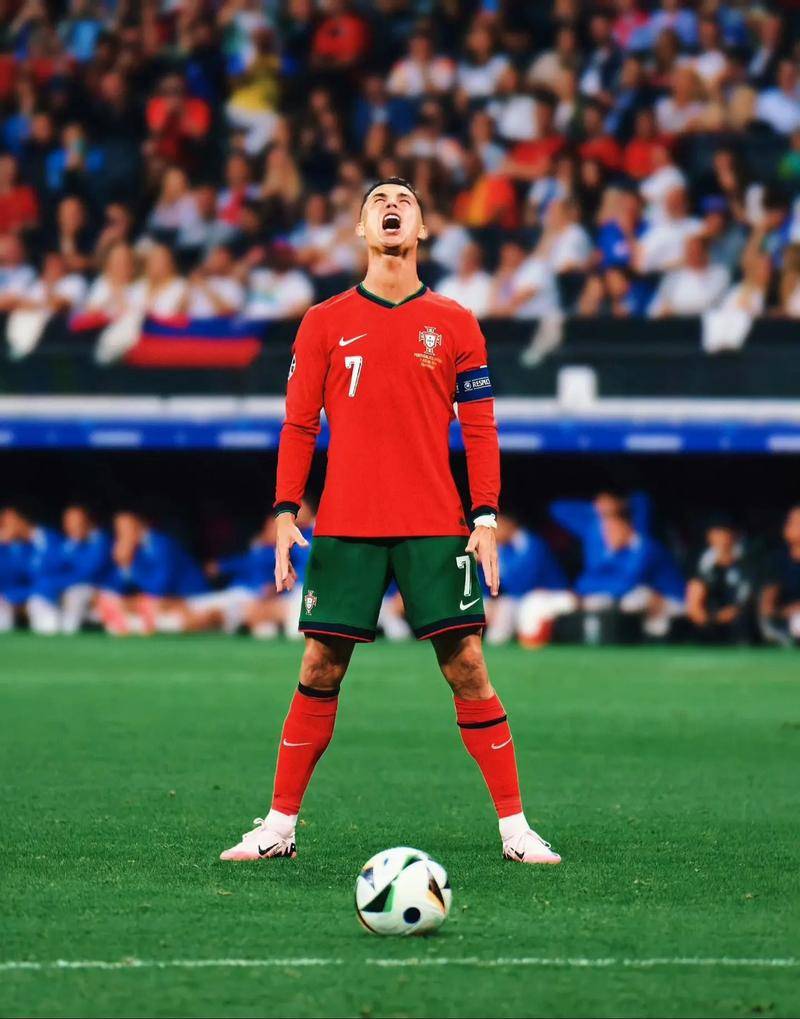 二天训练密 二天训练密